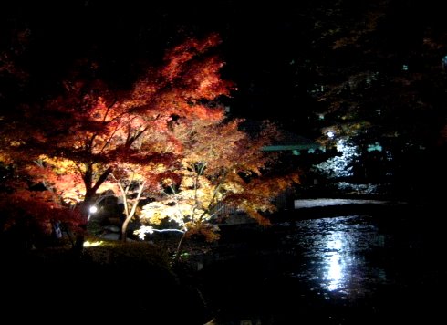 ライトアップさらた大田黒公園を歩いたよ_c0150923_19253180.jpg
