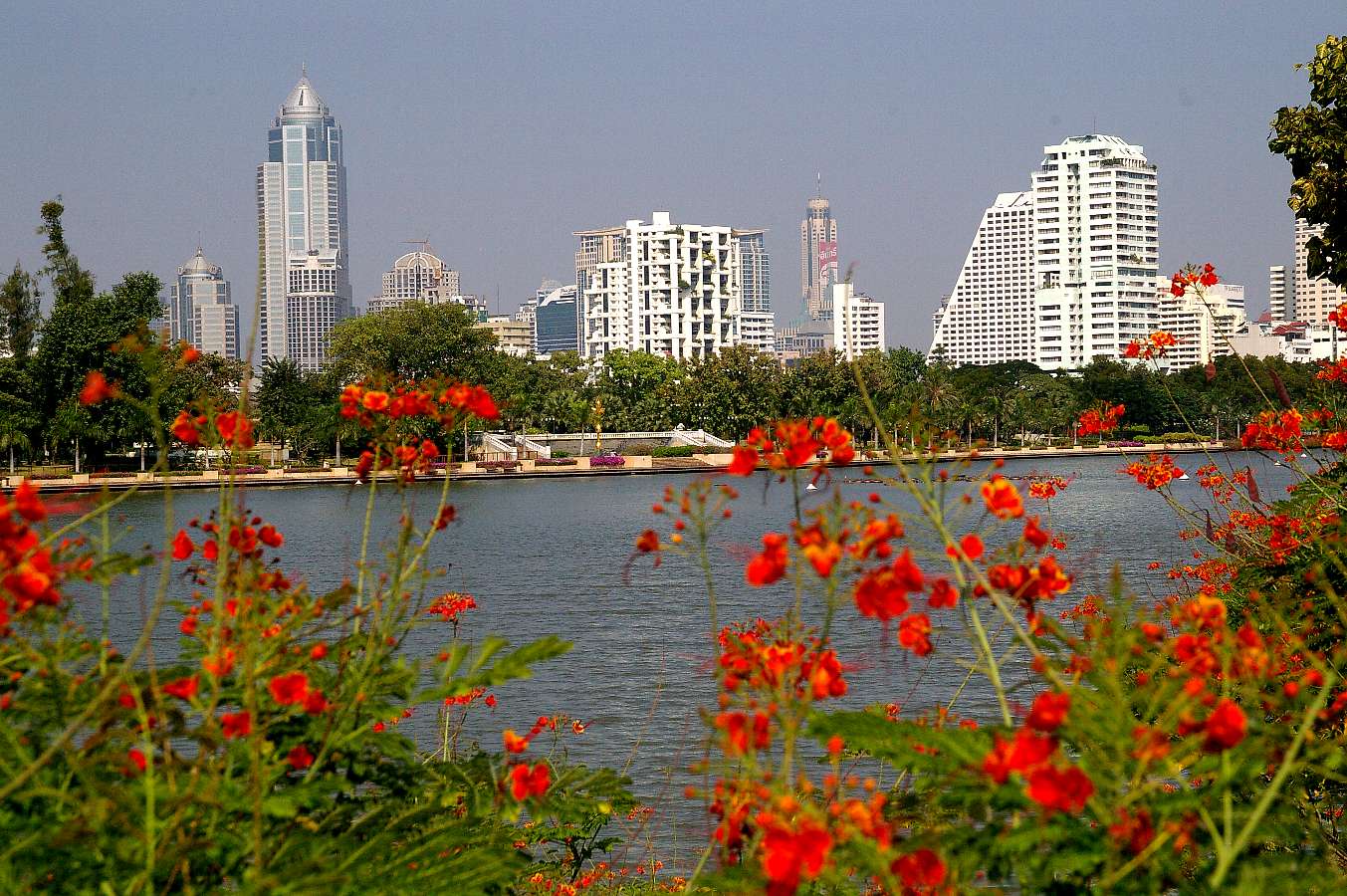 b0069128_5341276.jpg