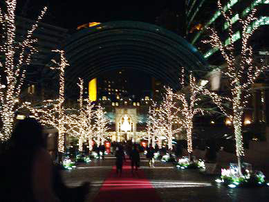夜のお散歩_c0099133_915428.jpg