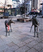 b0006537_9202075.jpg