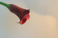 f0134642_23272315.gif