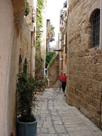 d0040546_9533852.jpg