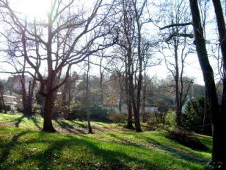 b0117348_5374584.jpg