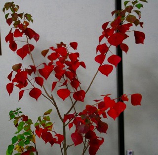 c0155950_21314081.jpg