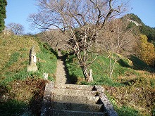 d0048350_19411444.jpg
