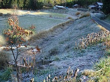 d0048350_19413244.jpg