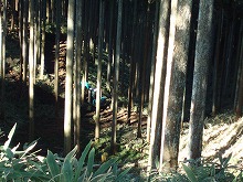 d0048350_1944064.jpg