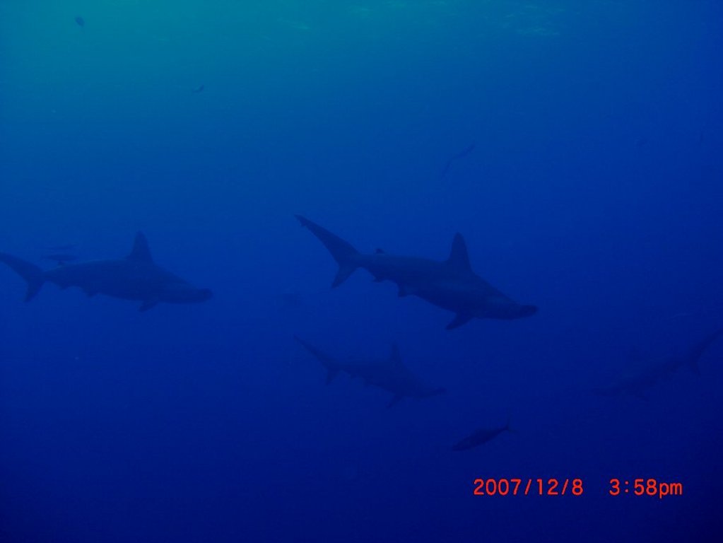 久しぶりのハンマー？かな？_d0113459_2364978.jpg