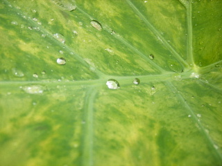 f0043559_2534054.jpg