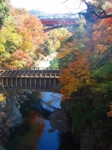 ＜200７年11月25日＞「秀麗富嶽十二景」（その２）：百蔵山（紅葉リベンジ）_c0119160_16441675.jpg