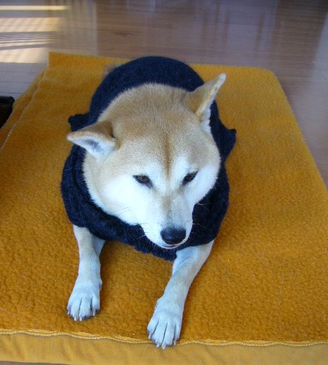 2007年12月8日愛ちゃんの冬のファッション!_f0060461_11174839.jpg