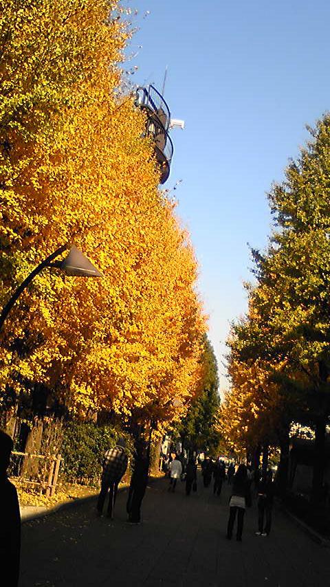 e0054064_19241734.jpg