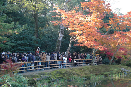 秋の京都、その6：紅葉なら、金閣寺。_d0086668_16471871.jpg