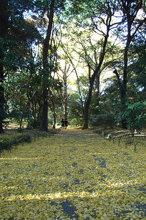 b0006870_22555574.jpg