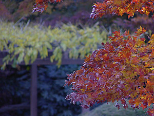 b0006870_23191923.jpg