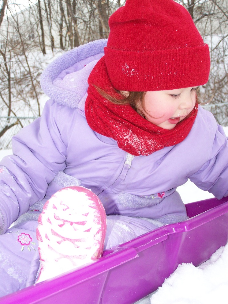 Fun with Sled and Homemade Pizza_e0028272_426946.jpg