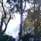 c0135480_1584728.jpg