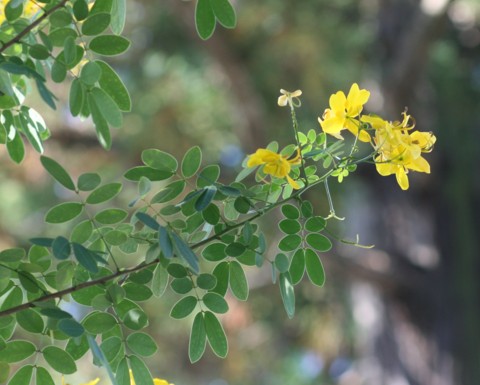 c0144185_2072411.jpg