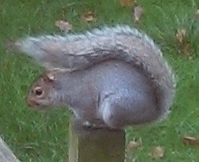 f0141785_18463751.jpg