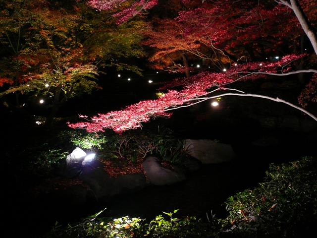 a0050593_1753439.jpg