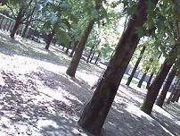 c0088395_114085.jpg