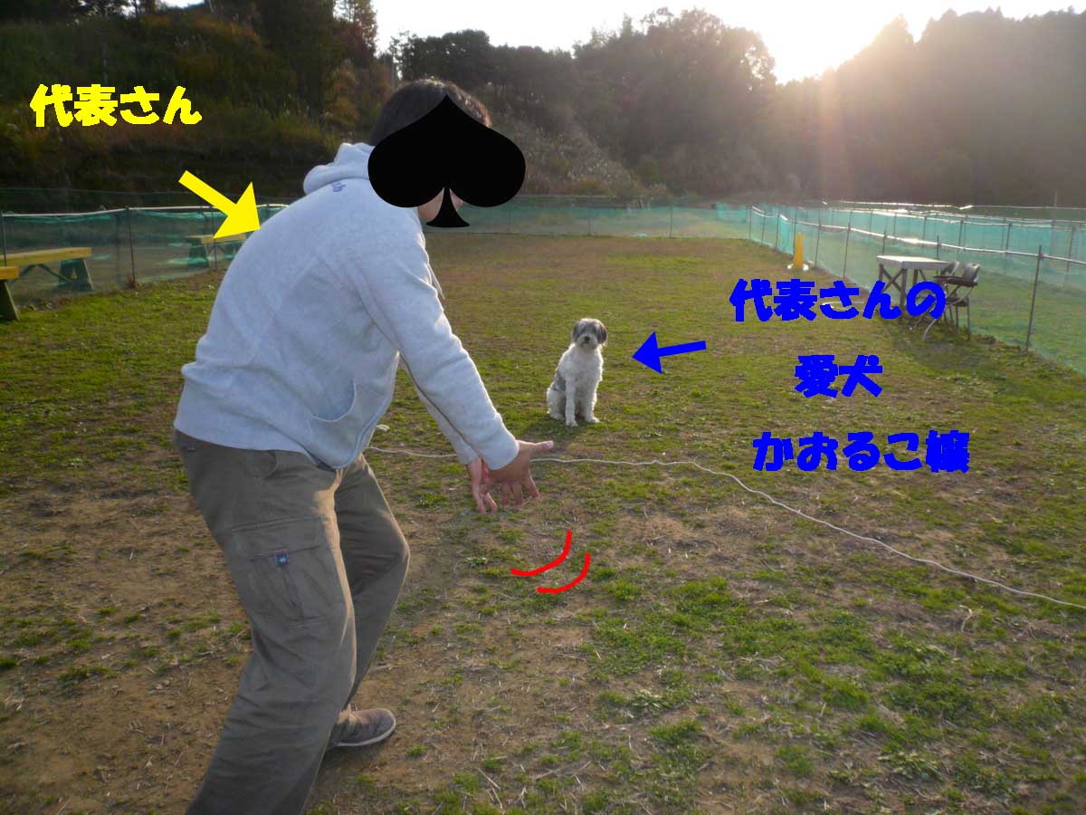 c0128896_14422728.jpg