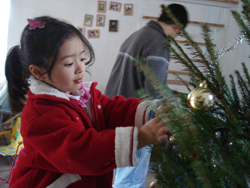 それでも、結局クリスマスツリー(笑)_f0106597_3361186.jpg