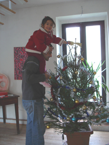 それでも、結局クリスマスツリー(笑)_f0106597_3383562.jpg