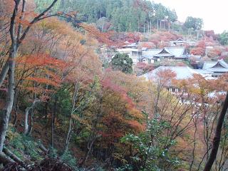 e0106098_13541090.jpg