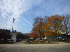 b0114403_13472890.jpg