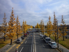 b0114403_13474831.jpg