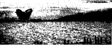 f0028703_15241824.jpg