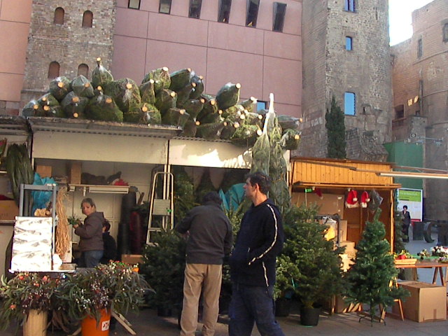 f0038407_12583811.jpg