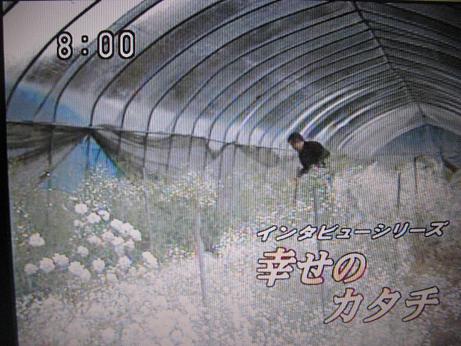 しあわせのカタチ放映_d0099708_215893.jpg