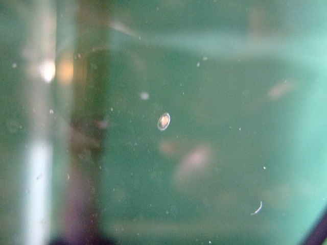 f0152308_21392777.jpg