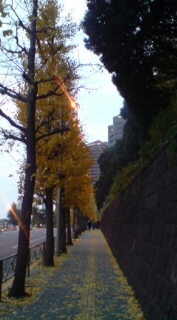 f0128409_22982.jpg