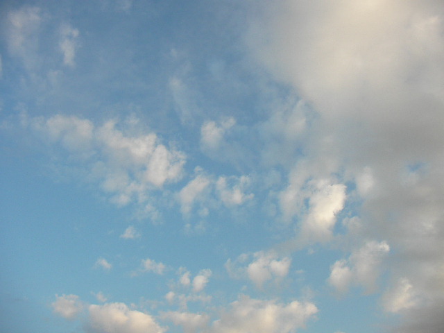 f0054610_1635595.jpg