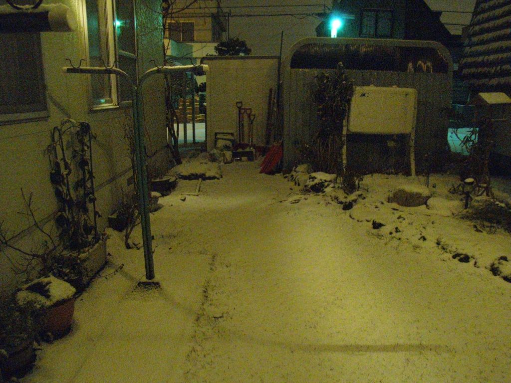 雪の夜_c0025115_0233541.jpg