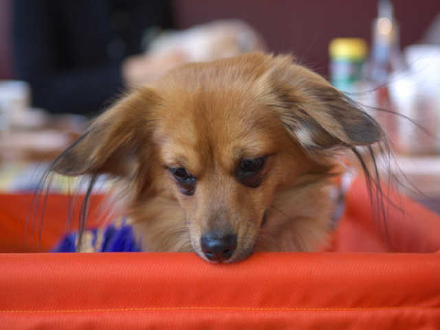 f0090516_21285999.jpg