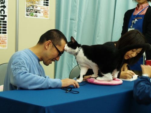 秋のイベント日和 その2 猫的写真館 秋のイベント日和 その2 猫的写真館