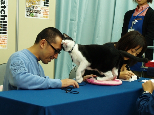 秋のイベント日和 その2 猫的写真館 秋のイベント日和 その2 猫的写真館