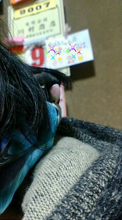 f0126418_10565175.jpg