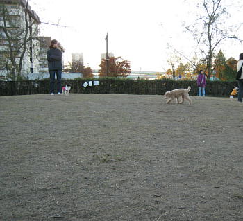 c0060920_20375216.jpg