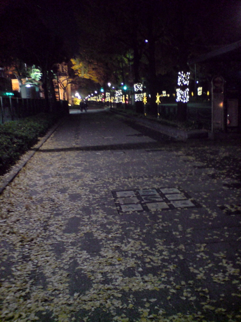 a0084221_12315371.jpg
