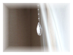 c0111021_12421616.gif