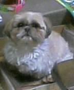 e0126623_2365665.jpg