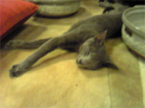 c0048625_2232190.jpg