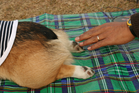 e0071225_20372626.jpg