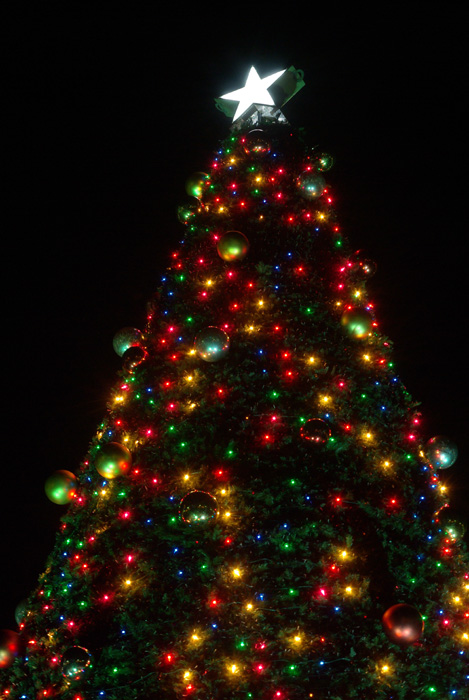 イタリア村クリスマスイルミネーション_c0136330_18261112.jpg