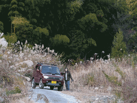 a0056140_16433520.gif